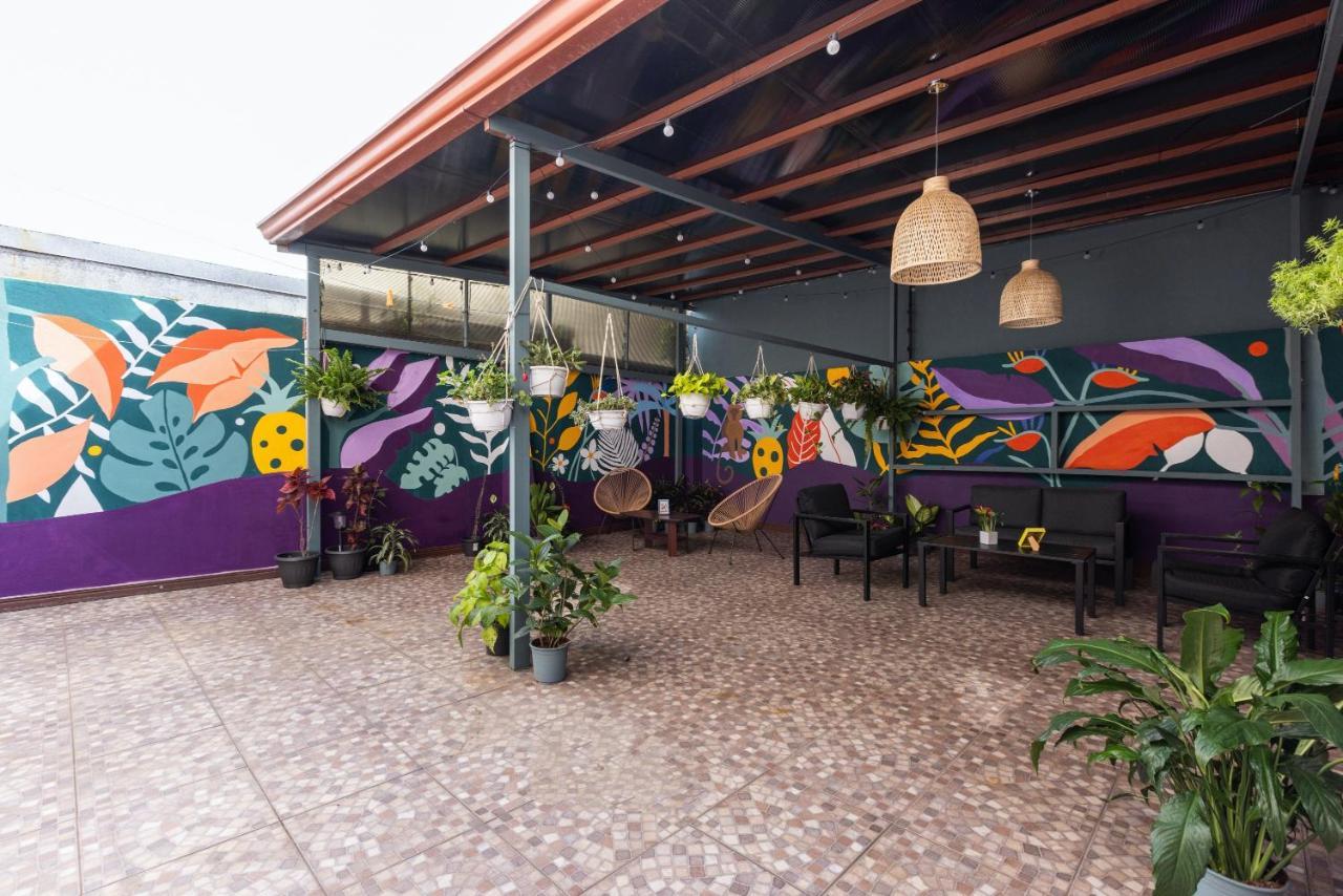 Viva Guest House San Jose (San Jose) Exterior foto